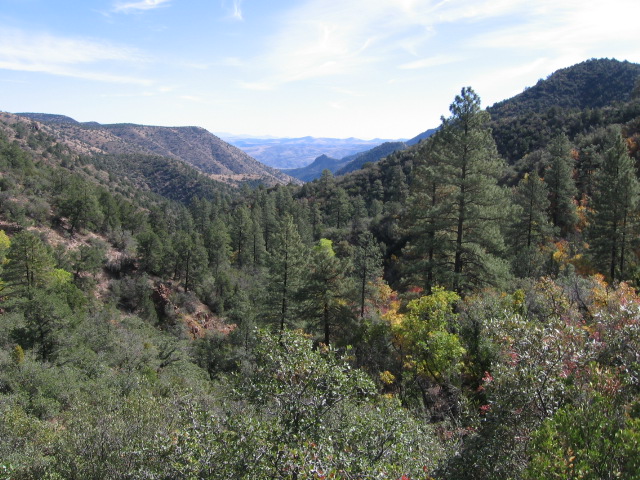 sardine creek canyon.JPG